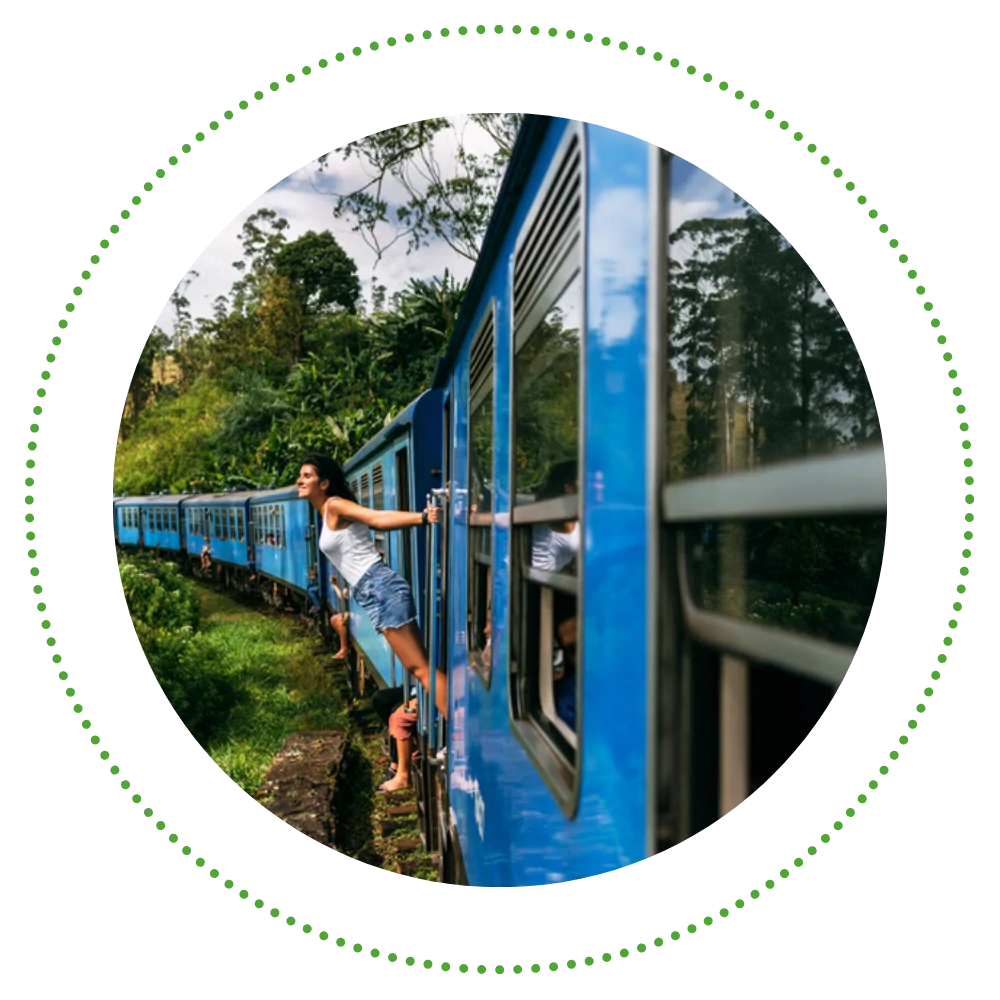 Ride a Scenic Train