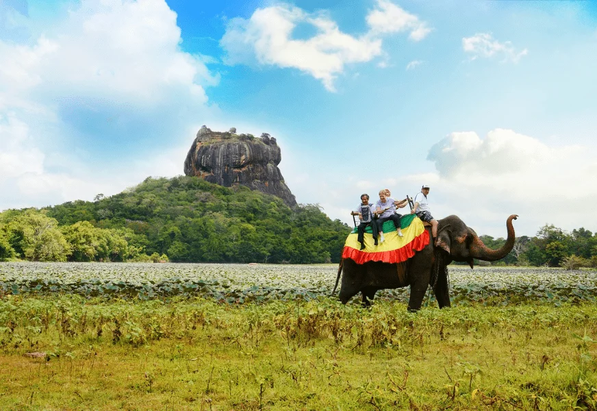elephant adventure in sigiriya