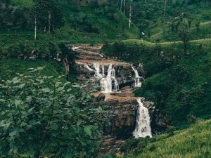 6776d77b05f1951f7b532580 5e98873def627df9c45ae4e7 st20falls20sri20lanka